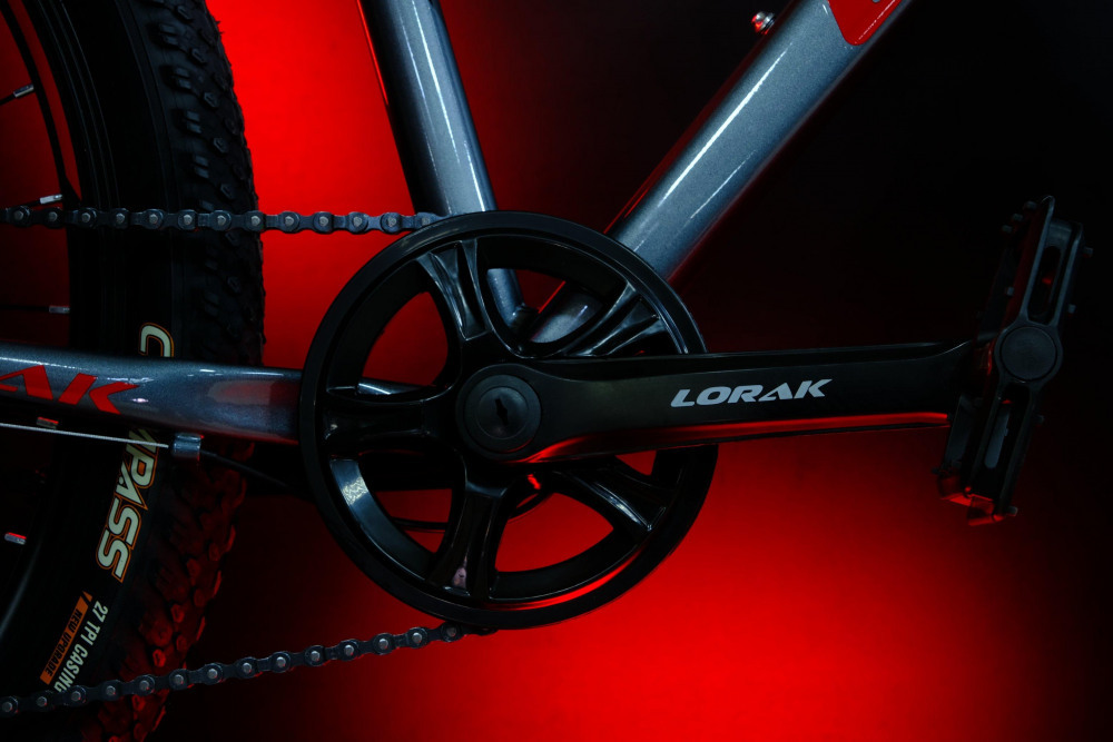 LORAK Safe 26 Серый/Красный