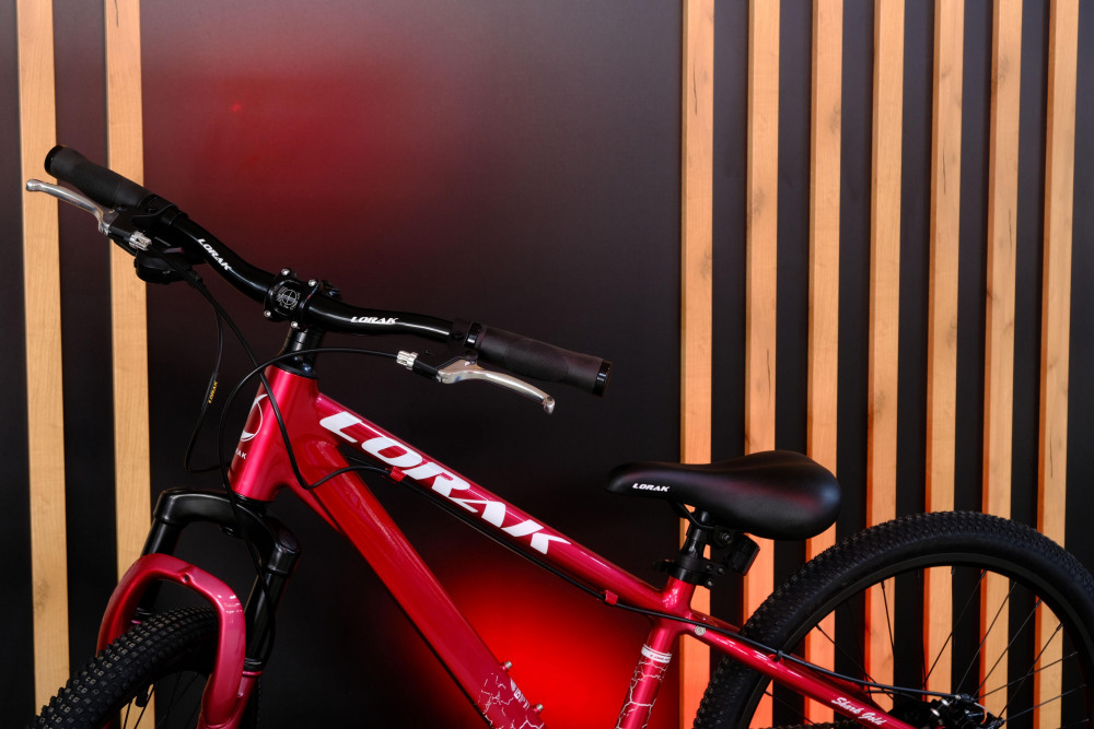 LORAK SHARK 24 GOLD Анод Красный